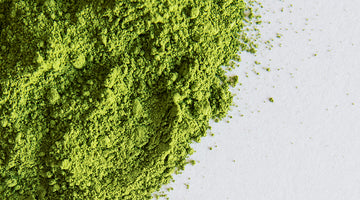 Matcha - Now at PRESS!